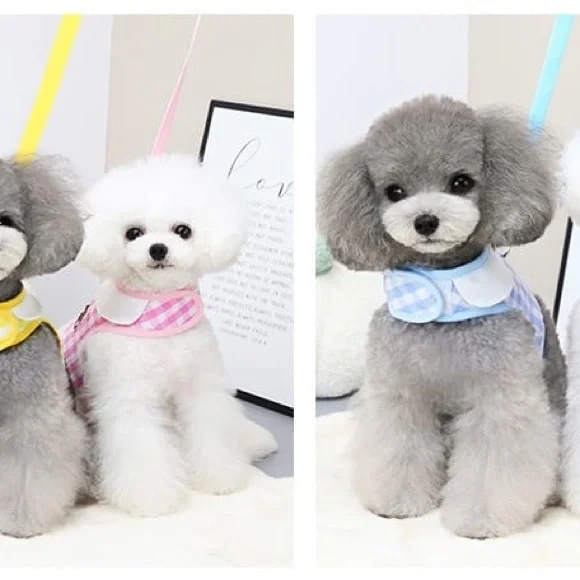 Dog Harness & Leash Set 6-8 kg. (12-18lbs ) - Picture 6 of 8